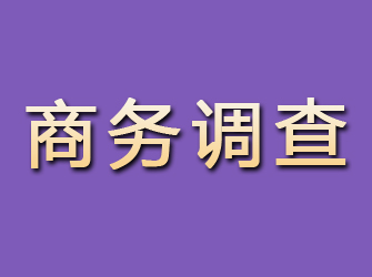 平邑商务调查